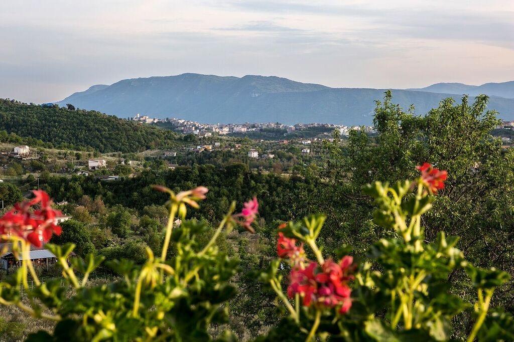 아나니 카살레 산 피에트로 B&B 외부 사진